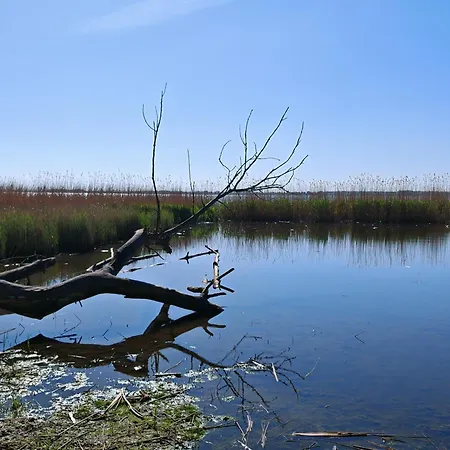 Vakantiehuis Am Huenengrab *