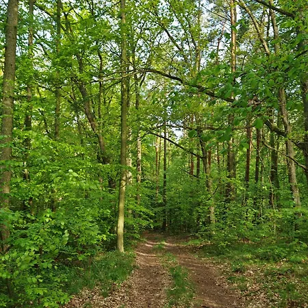 Vakantiehuis Am Huenengrab *
