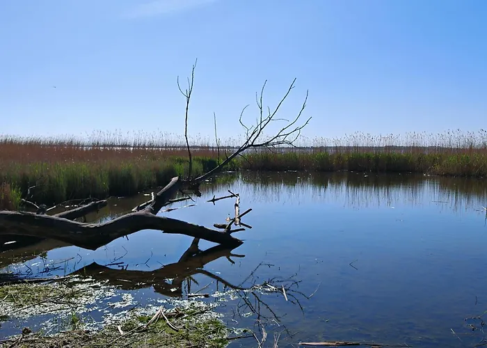 Nyaraló Am Huenengrab *