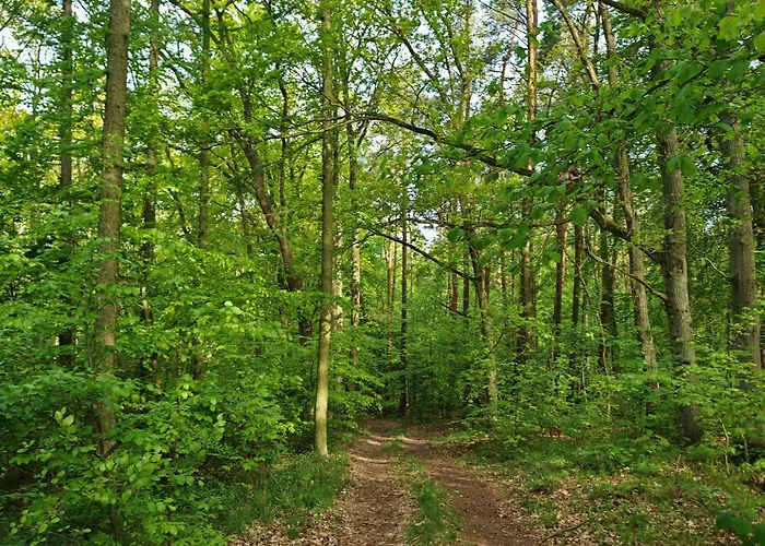 Nyaraló Am Huenengrab *